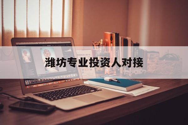 鹤壁市潍坊专业投资人对接(潍坊专业投资人对接中心)
