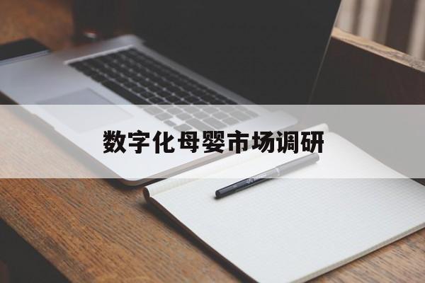 鹤壁市数字化母婴市场调研(数字化母婴市场调研报告)